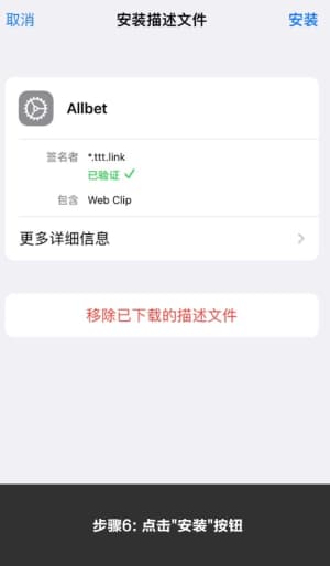 欧博iOS客户端安装步骤与系统配置流程图6