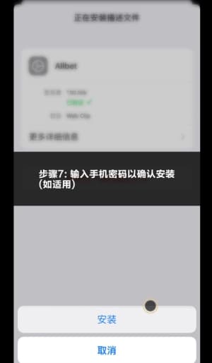 欧博iOS客户端安装步骤与系统配置流程图7